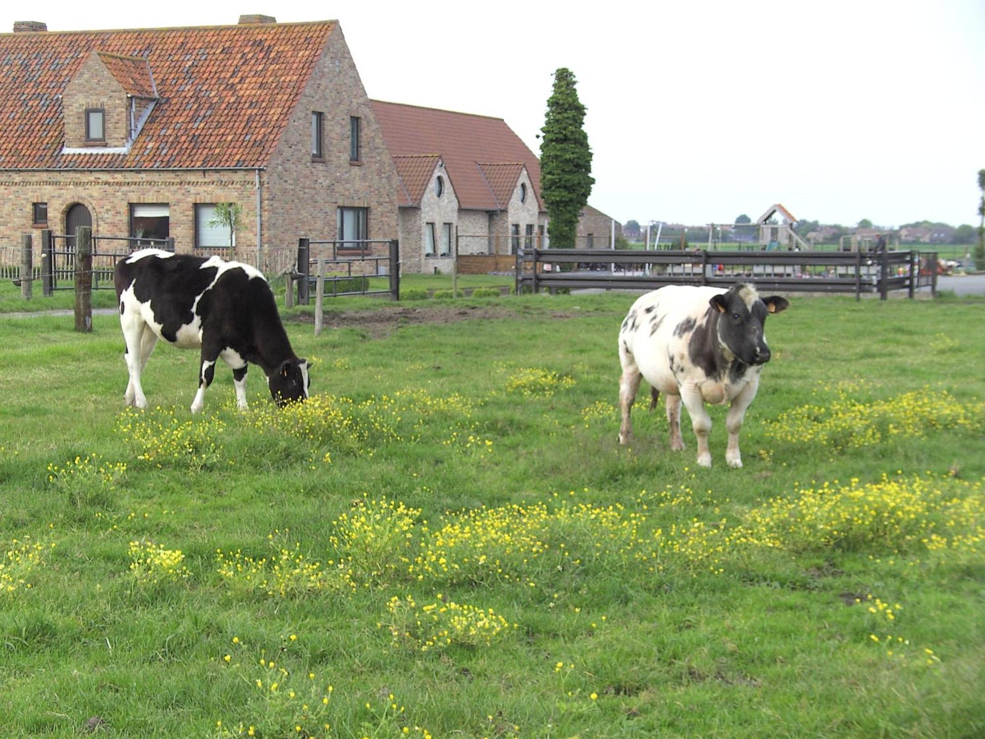 'T Vossenerf Villa De Haan Exterior photo